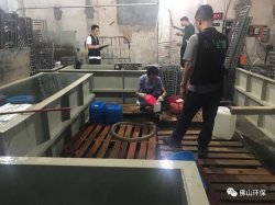 佛山三級(jí)環(huán)保加公安部門聯(lián)合執(zhí)法查處南海2家污企，七人被帶走調(diào)查