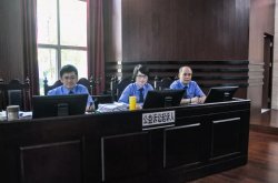 佛山市首例環境污染民事公益訴訟開審：要求企業承擔737萬余元民事責任