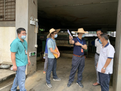 省市鎮(zhèn)聯(lián)合執(zhí)法，東莞嚴(yán)查環(huán)境違法行為