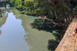 萬江：河涌現“綠水”，偷排企業被查處！